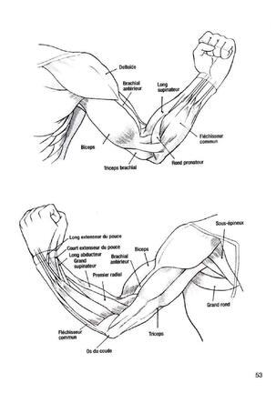 How To Draw Manga Vol. 25 Bodies and Anatomy Page #53
