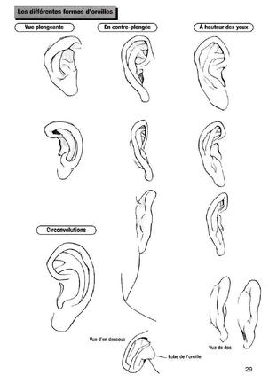 How To Draw Manga Vol. 25 Bodies and Anatomy Page #29