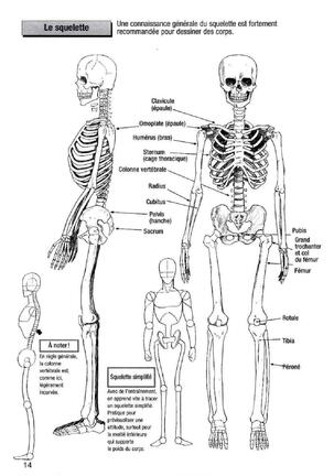 How To Draw Manga Vol. 25 Bodies and Anatomy Page #14
