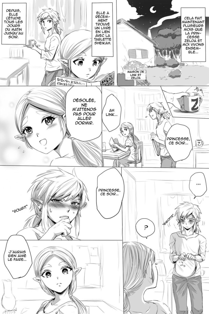 BreaWi No LinZel Ga Hitasura Ichaicha Shite Sukebe Na Koto Suru Manga | Un Manga BotW Où Link Et Zelda Flirt Et Font Des Choses Obscènes