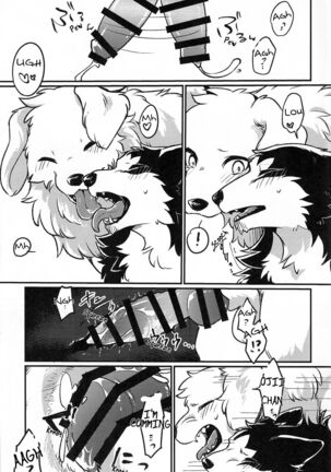 Image 13743378