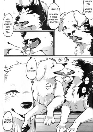 Image 13743360