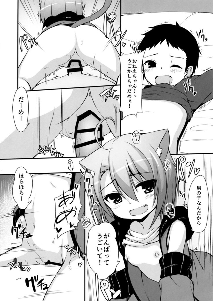 こねこの世話ごと