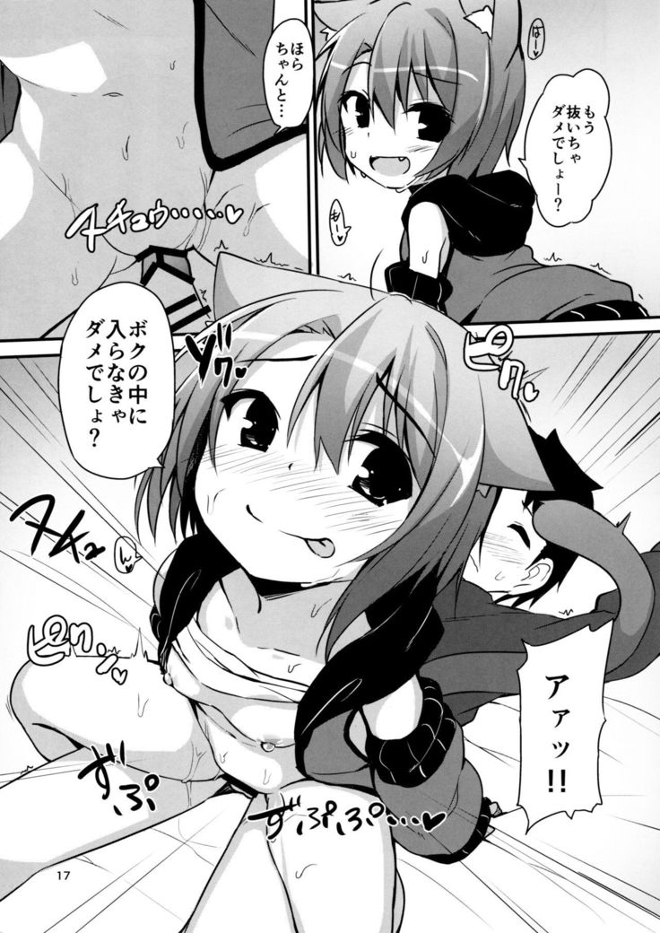 こねこの世話ごと