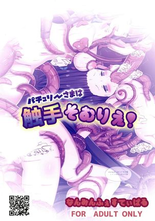 Patchouli-sama wa Shokushu Sommelier! Page #18