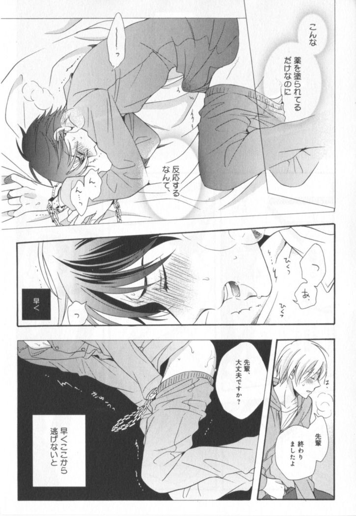 Kawaii Senpai no Kaigoroshikata