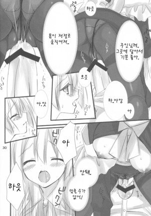 Maid-san no Hon Page #30