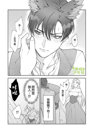 henatyoko kyuuketuki ha ookami kisi no ti ga ho sii|废柴吸血鬼渴望狼骑士的血液 - Page 18