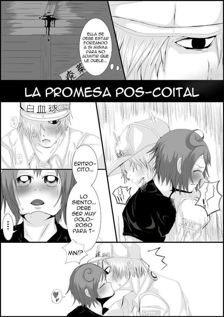 Hataraku Saibou  R-18 Manga