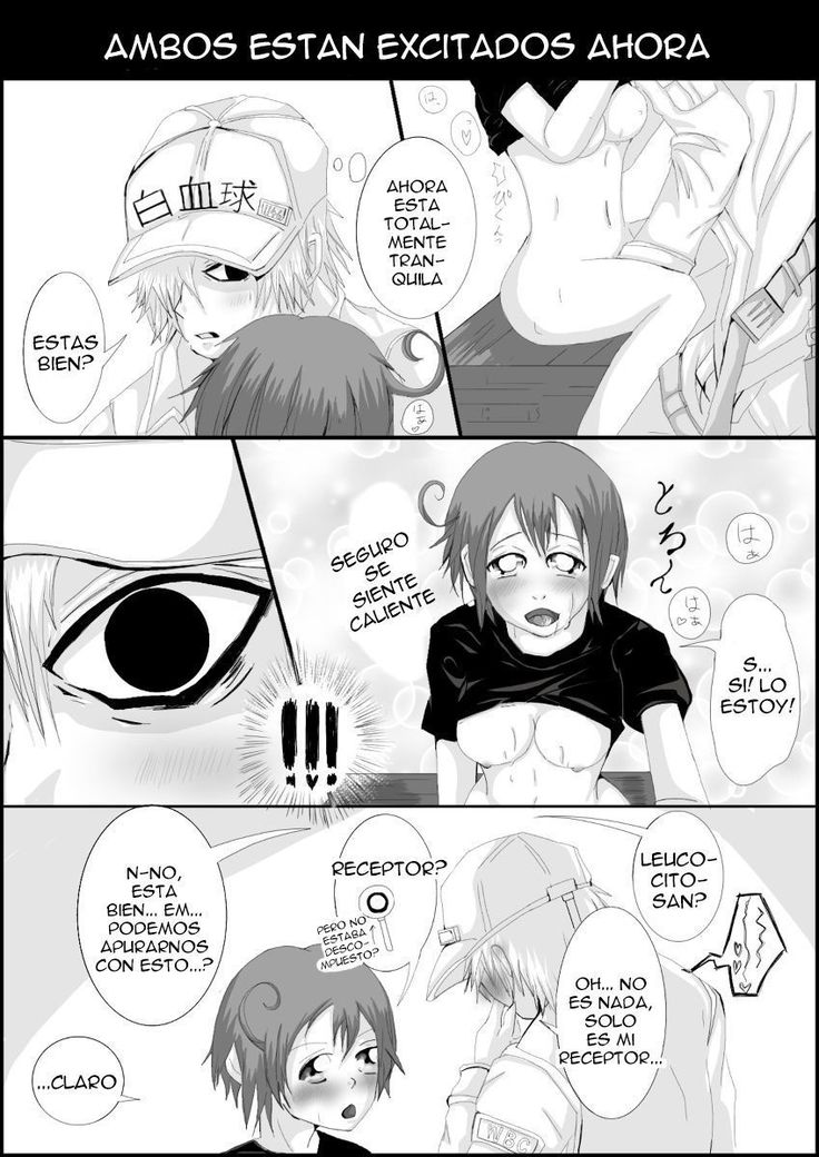 Hataraku Saibou  R-18 Manga
