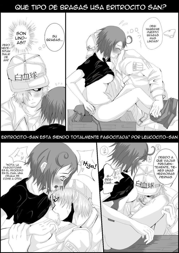 Hataraku Saibou  R-18 Manga