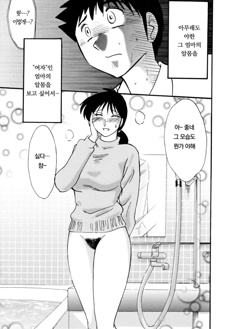 Hisae Haitoku Nikki Jou Kanzenban | 히사에의 배덕일기 완전판