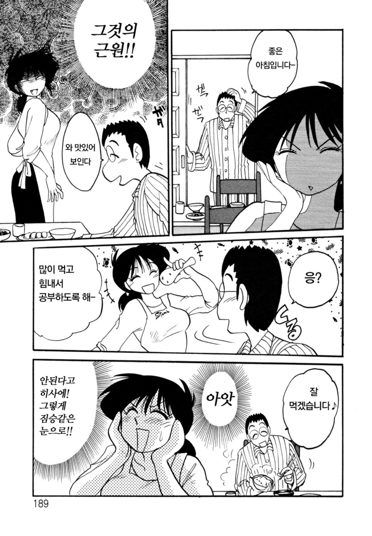 Hisae Haitoku Nikki Jou Kanzenban | 히사에의 배덕일기 완전판