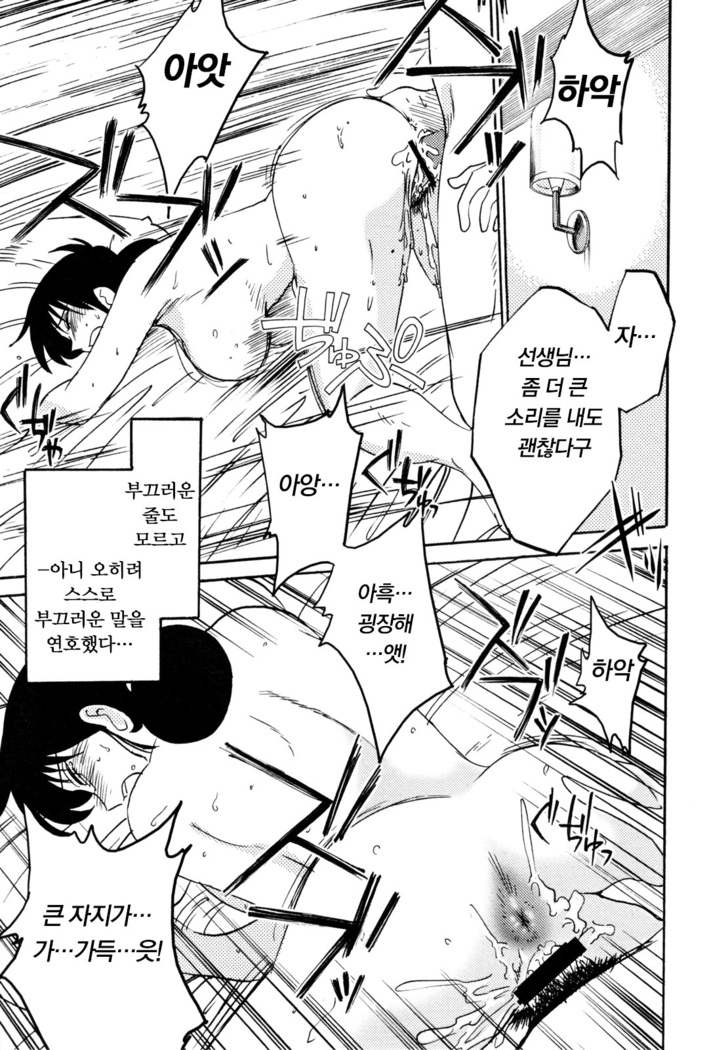 Hisae Haitoku Nikki Jou Kanzenban | 히사에의 배덕일기 완전판