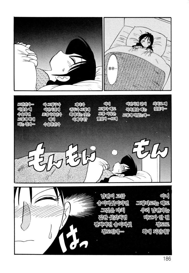 Hisae Haitoku Nikki Jou Kanzenban | 히사에의 배덕일기 완전판