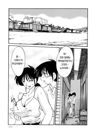 Hisae Haitoku Nikki Jou Kanzenban | 히사에의 배덕일기 완전판 Page #115