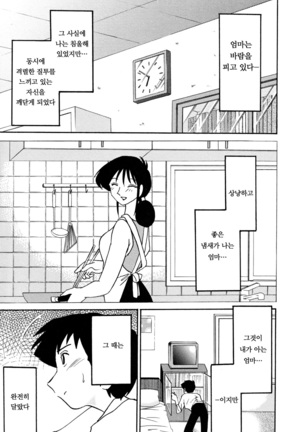 Hisae Haitoku Nikki Jou Kanzenban | 히사에의 배덕일기 완전판 Page #73