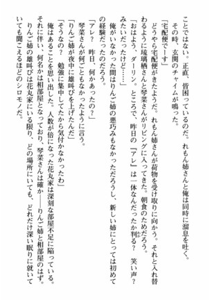 姉とボイン Page #27