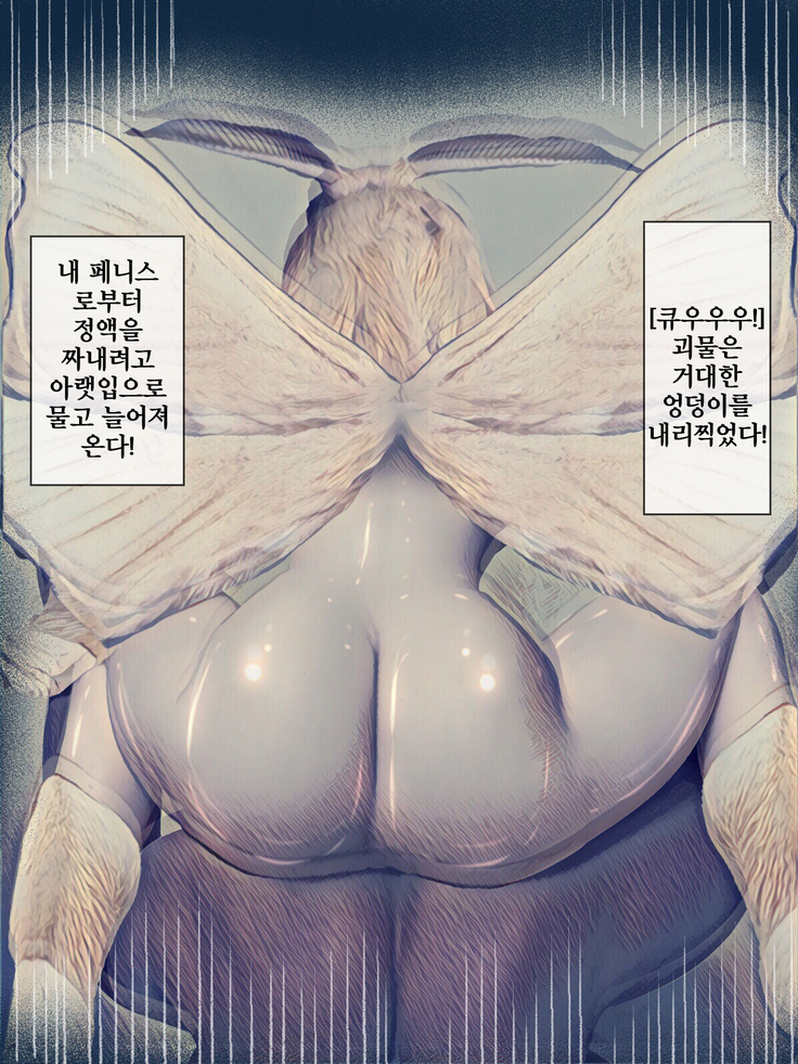 Kaikoga no Kaibutsu