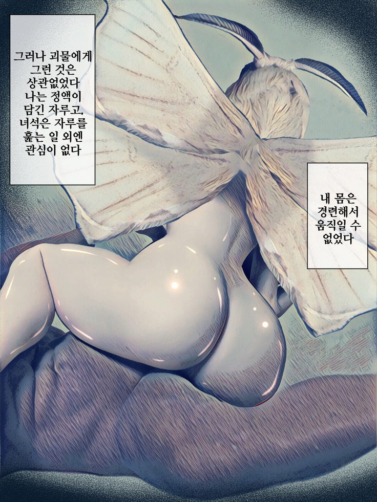 Kaikoga no Kaibutsu