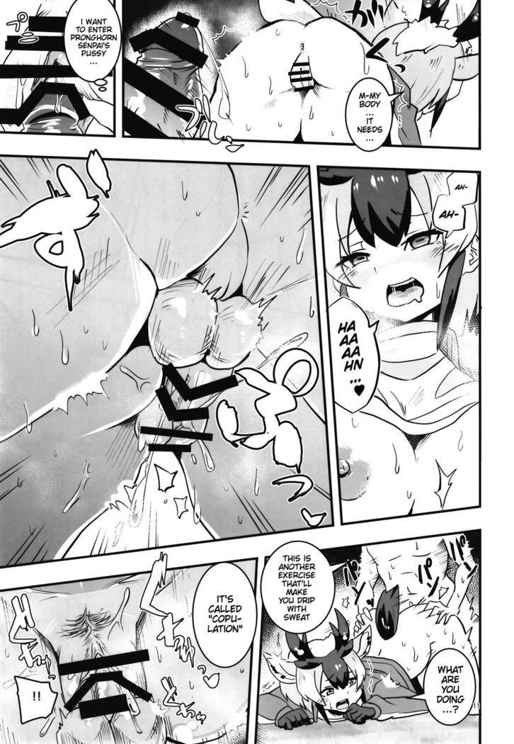Pronghorn-chan to Ase Mamire | Working Up a Sweat with Pronghorn-chan