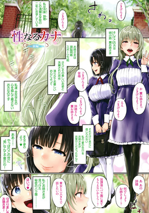 Image 7441802