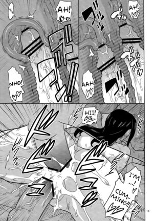 ROBIN SP 2 Page #14