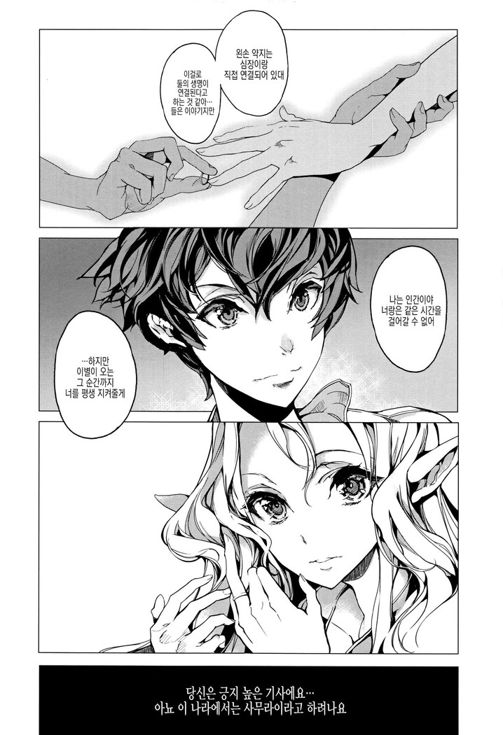 Elf no Yomeiri