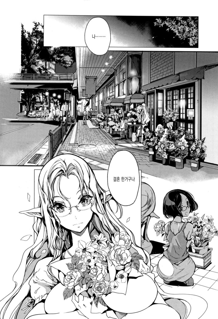 Elf no Yomeiri