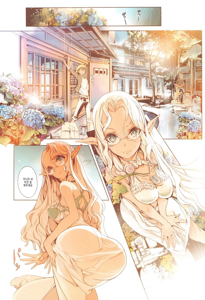 Elf no Yomeiri