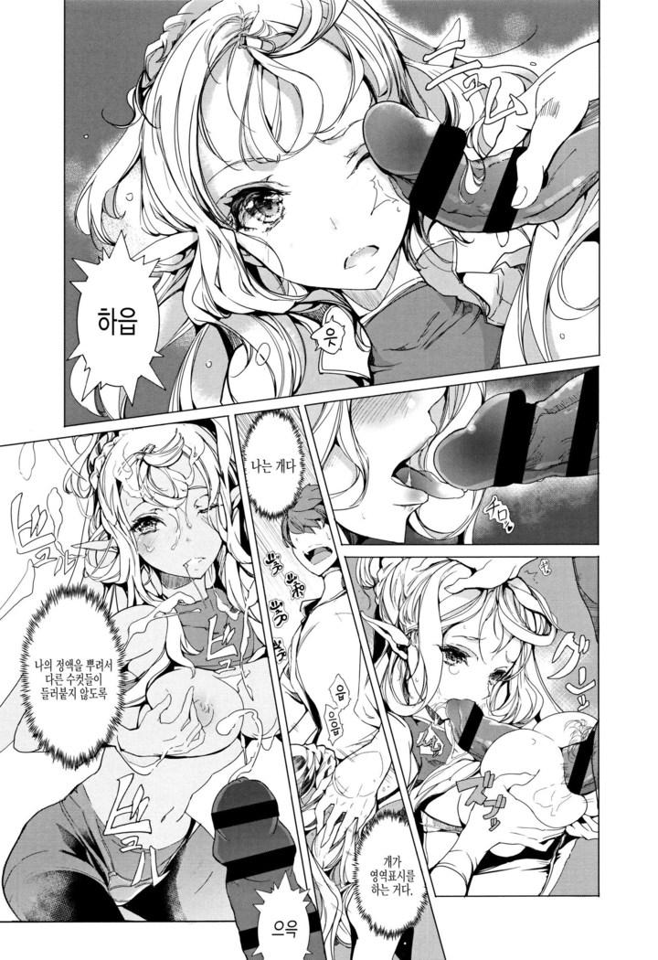 Elf no Yomeiri