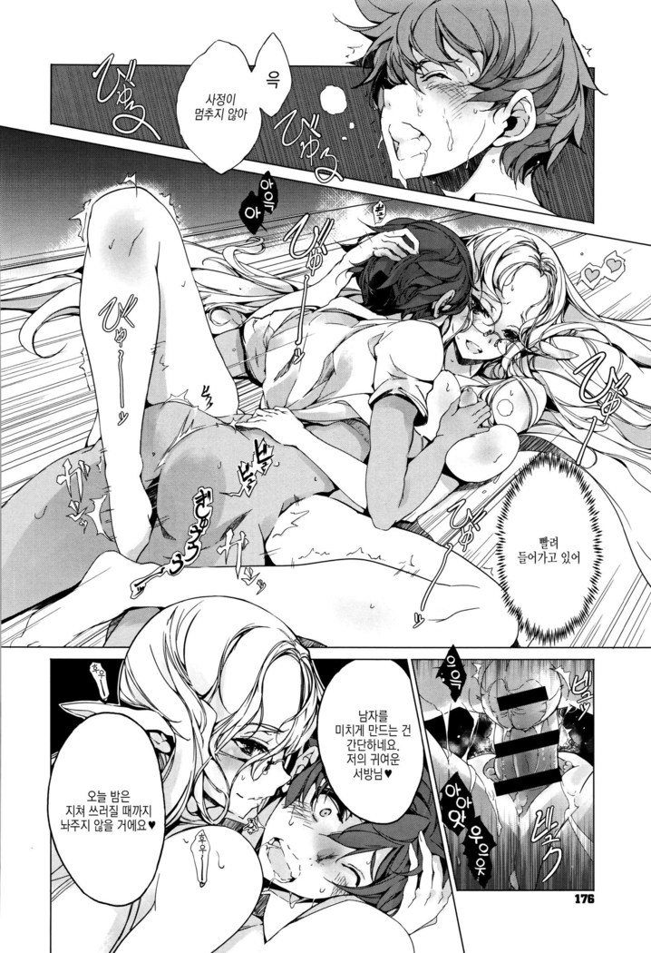 Elf no Yomeiri