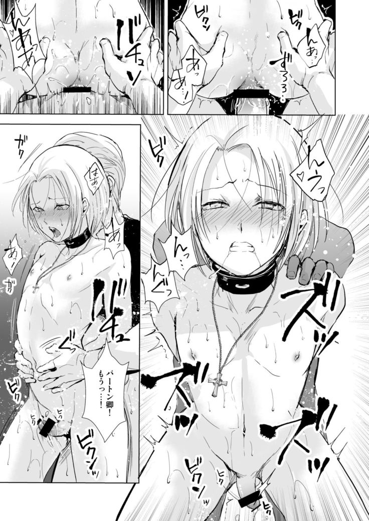 Hiiro no Shiro
