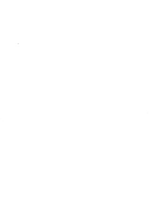 Image 11979324