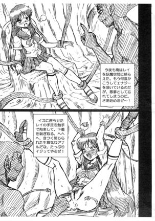 SAILORMOON FILE Hino Rei Gazoushuu - Page 3