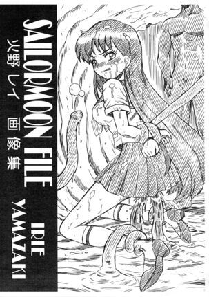 SAILORMOON FILE Hino Rei Gazoushuu Page #1