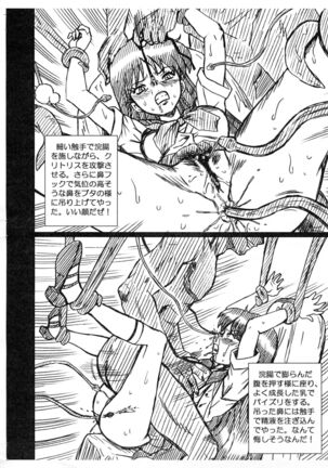 SAILORMOON FILE Hino Rei Gazoushuu Page #4