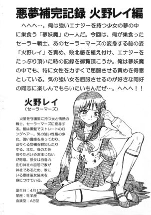 SAILORMOON FILE Hino Rei Gazoushuu Page #2