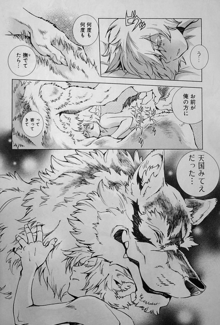 THE WILD LEG wolf