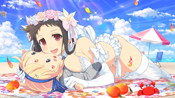 Master Ninja Senran Kagura NEW LINK