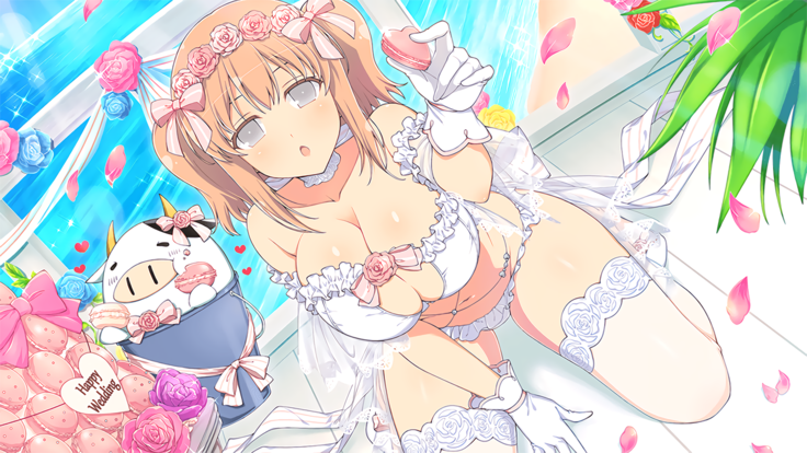 Master Ninja Senran Kagura NEW LINK