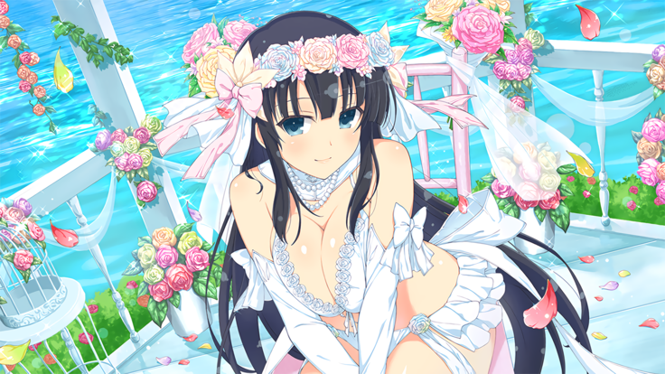 Master Ninja Senran Kagura NEW LINK