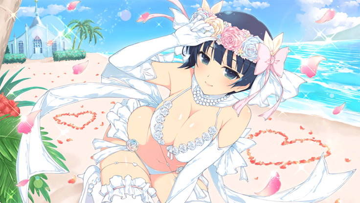 Master Ninja Senran Kagura NEW LINK