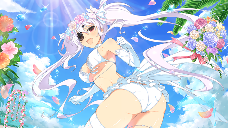 Master Ninja Senran Kagura NEW LINK