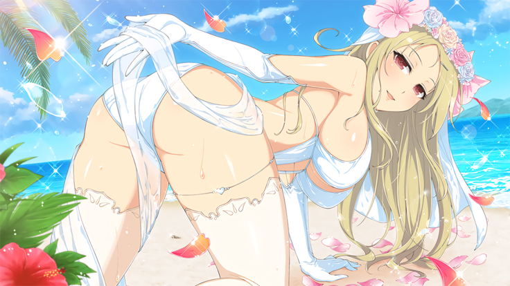 Master Ninja Senran Kagura NEW LINK