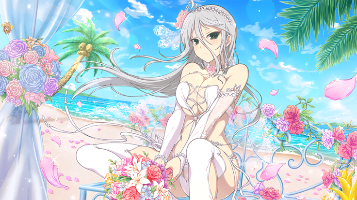 Master Ninja Senran Kagura NEW LINK