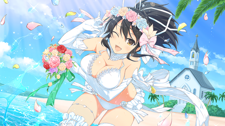 Master Ninja Senran Kagura NEW LINK