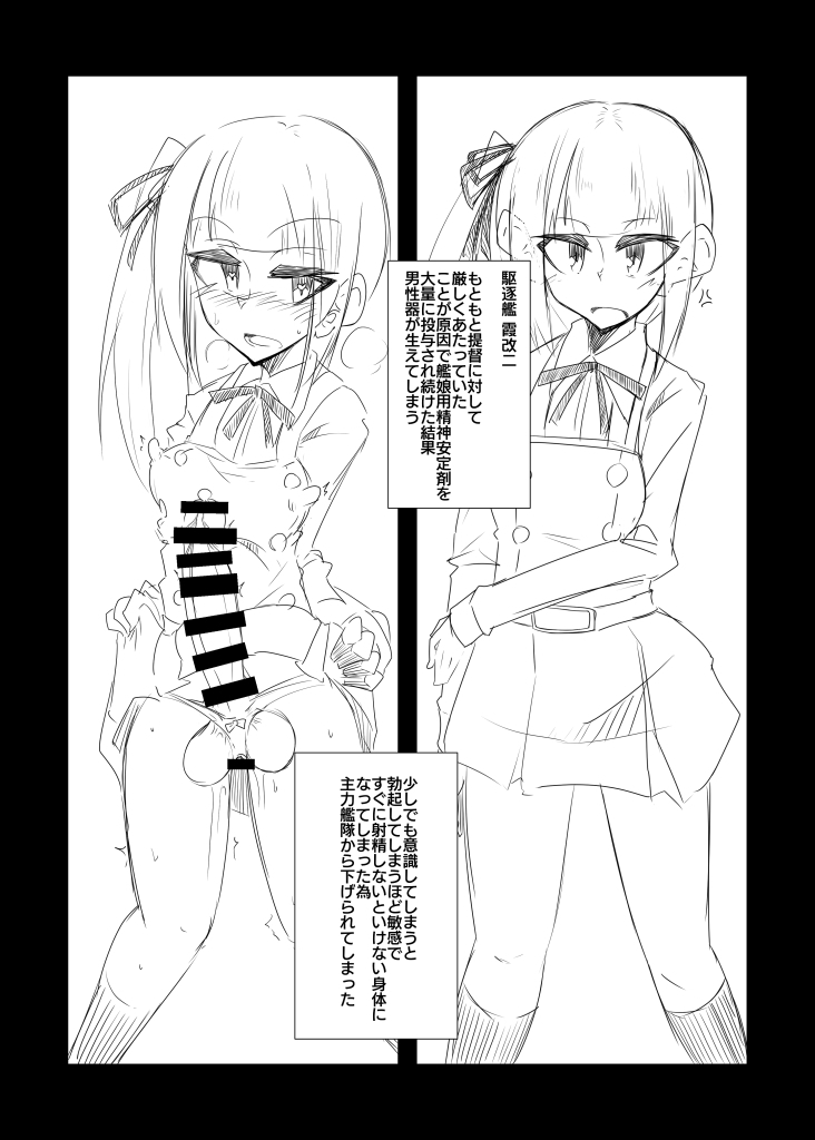 薬物実験失敗艦娘データカッコカリ