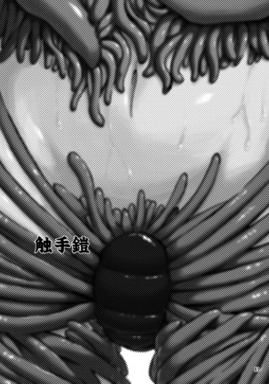 Shokushu Armor