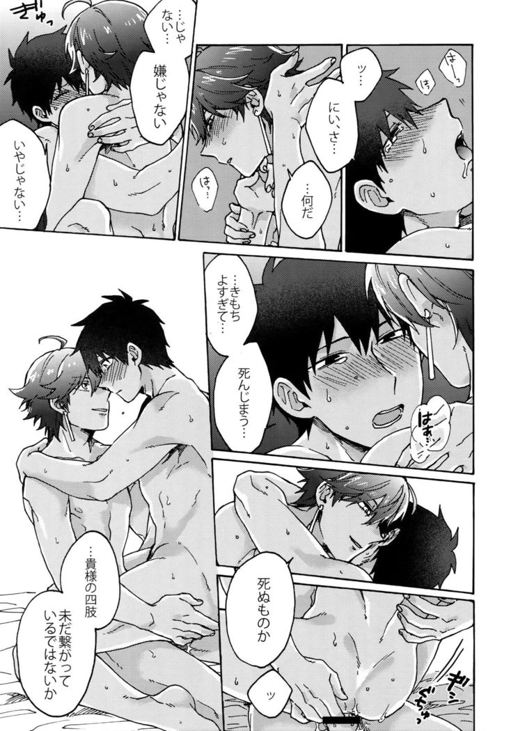Saigo no Negai o Hoshi ni Shite